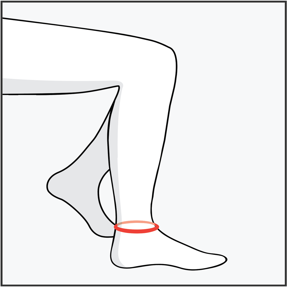 Ankle Circumference